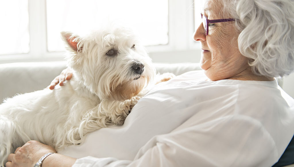 Do Hospice Care Centers Allow Pets Visitation One Elderly Women Visits With Her Dog