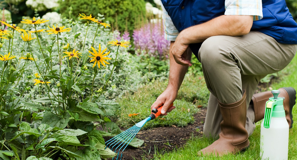 Man Working in a Garden